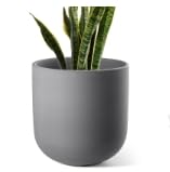 8 Inch Plant Pot