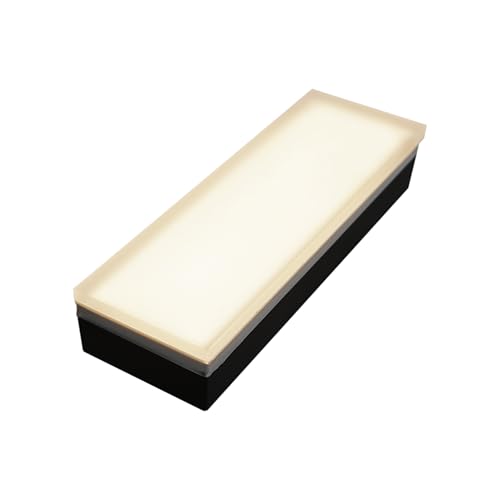 Paver Light 3x8 Inch
