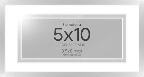 5x10 Silver License Frame (2 Count)