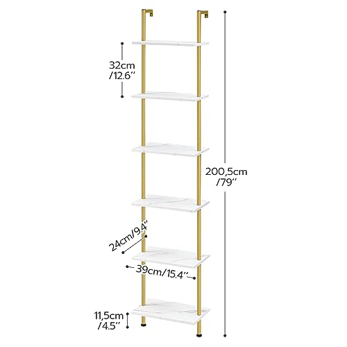 DIY Ladder Shelf
