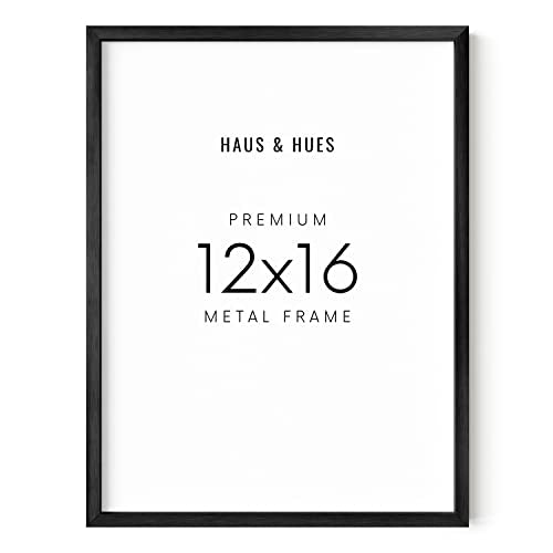 12x16 Black Frame (12 Count)