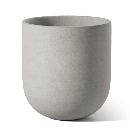 6 Inch Plant Pot