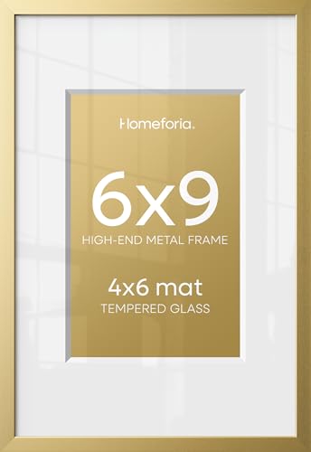 6x9 Gold Picture Frame (2 Count)