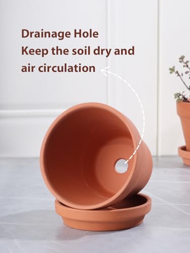 4 Inch Terracotta Pots with Saucers