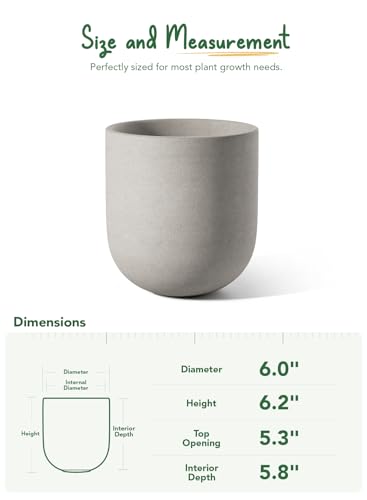 6 Inch Plant Pot