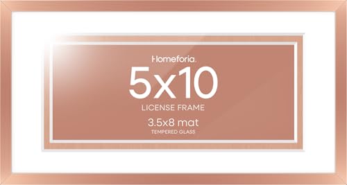 5x10 Rose License Frame (2 Count)