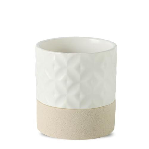 Self Watering Ceramic Plant Pot
