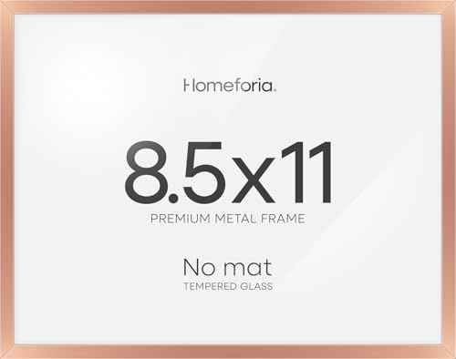 8.5x11 Rose Diploma Frame (2 Count)
