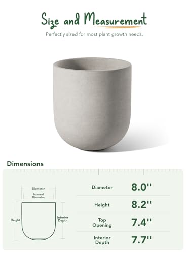 8 Inch Plant Pot