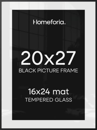 20x27 Black Picture Frame (2 Count)