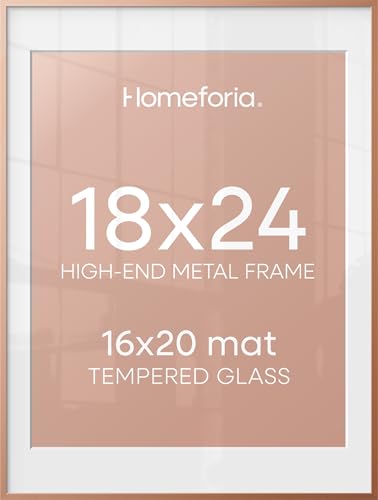 18x24 Rose Poster Frame (2 Count)