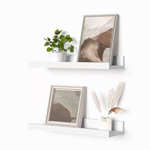 Picture Ledge Shelf (2 Count)