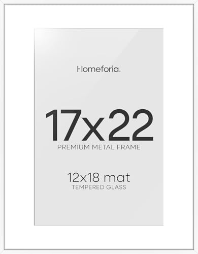 17x22 White Picture Frame