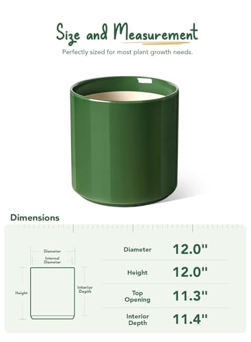 12 Inch Pot for Plants