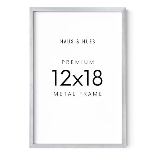 Standalone Silver Aluminum Frame Set of 1
