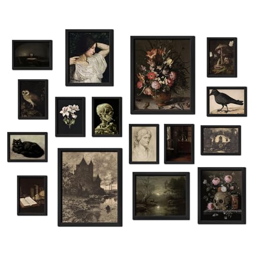16 PCS Framed Dark Academia Room Decor (16 Count)