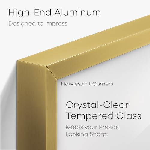 16x20 Gold Diploma Frame (2 Count)