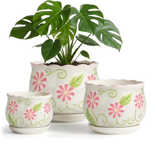 Pink Ceramic Flower Pots (3 Count)