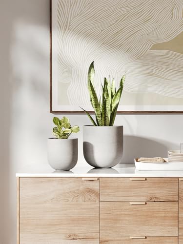 6 Inch Plant Pot