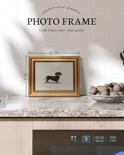 Vintage Gold Framed Wall Art