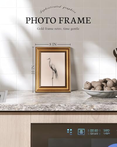 Vintage Gold Framed Wall Art for Living Room