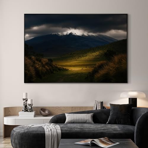46"x72" Extra Large Framed Wall Art Majestic Snow