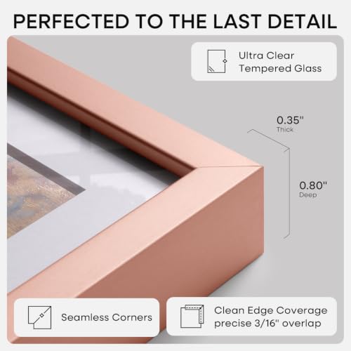 A3 Rose Picture Frame (2 Count)