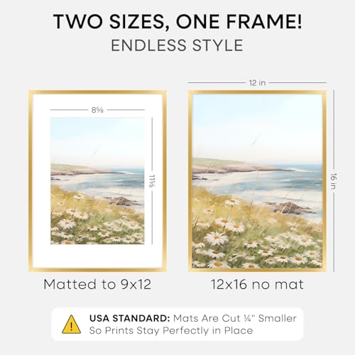 12x16 Gold Picture Frame