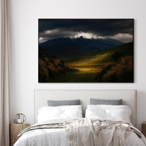 46"x72" Extra Large Framed Wall Art Majestic Snow