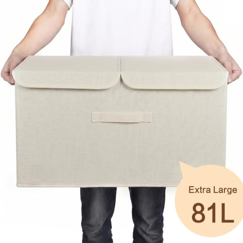2 Pack Storage Boxes with Lids and Handles (2 Count)