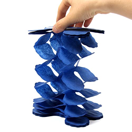 Navy Blue White (12 Count)