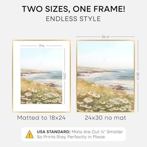24x30 Gold Picture Frame