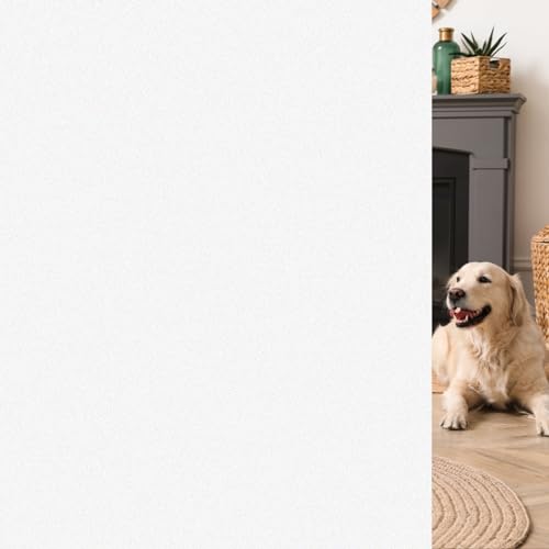 Frosted Window Privacy Film (48.3 Sq Ft)