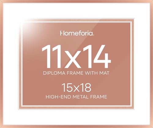 15x18 Rose Diploma Frame (2 Count)