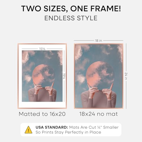 18x24 Rose Poster Frame (2 Count)