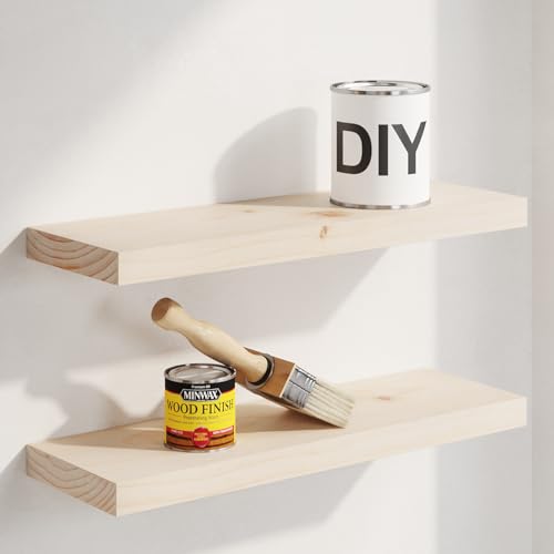 20 Inch DIY Floating Shelves (2 Count)