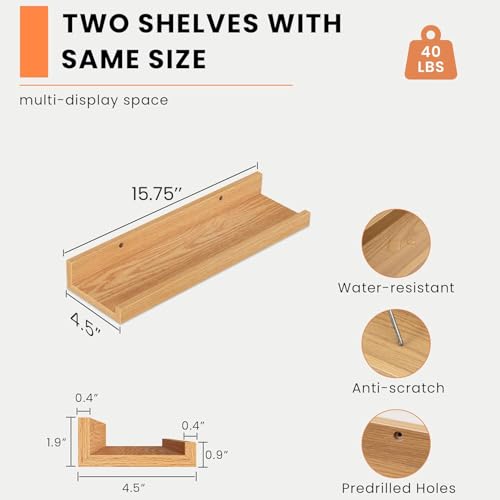 Picture Ledge Shelf (2 Count)