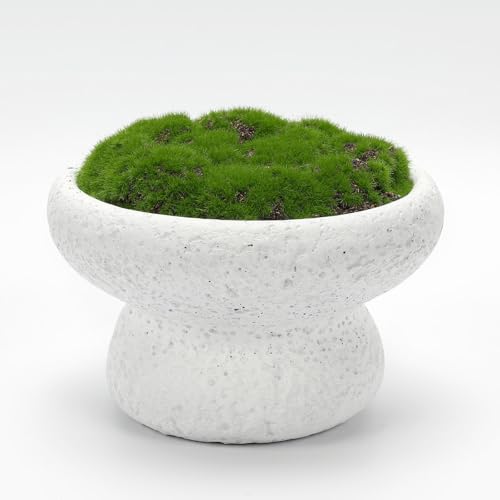 6'' Handmade Cement Bowl