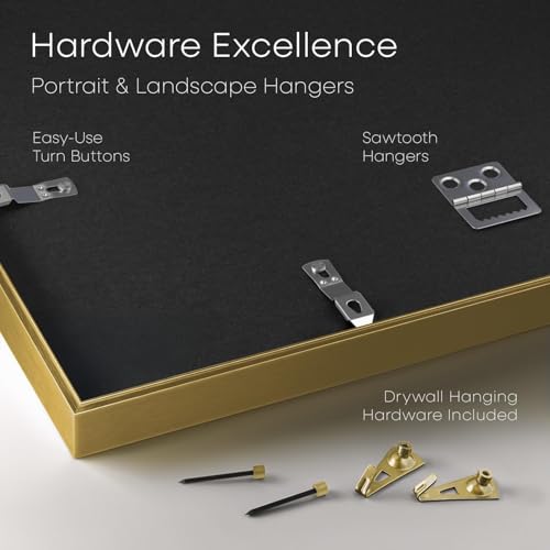 5x10 Gold License Frame (2 Count)