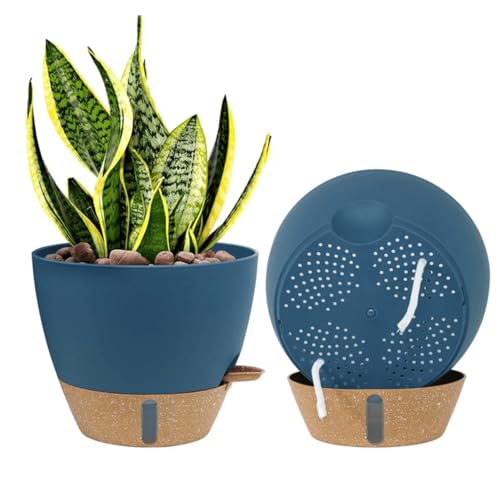 2 Pack 10 inch Plant Pots (2 Count)