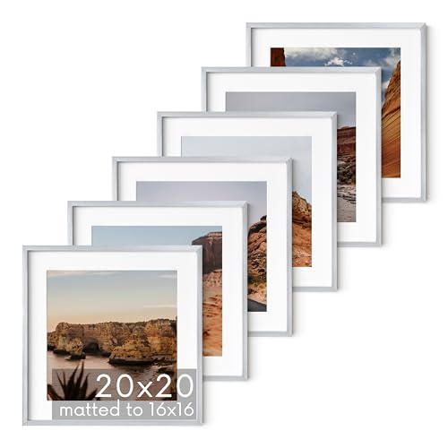 20x20 Silver Metal Picture Frames Matted to 16x16