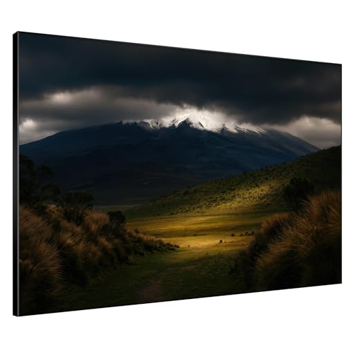 60"x72" Extra Large Framed Wall Art Majestic Snow