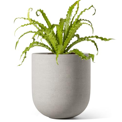 6 Inch Plant Pot