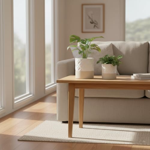 Self Watering Plant Pot for Indoor Plants
