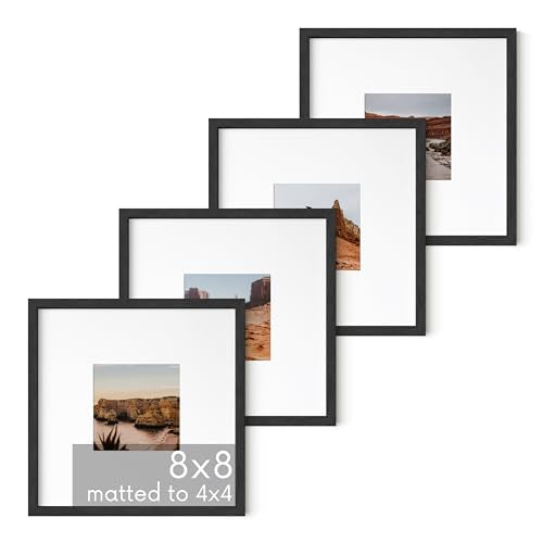 Black Oak Wood 8x8 Picture Frames (4 Count)