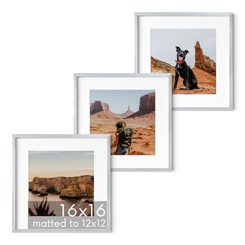 16x16 Silver Metal Picture Frames Matted to 12x12