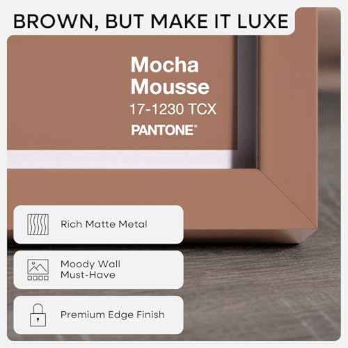 20x28 Mocha Picture Frame