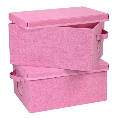 Storage Bins With Lids Closet Organizer Cabinet Box For Clothes (2 Count)