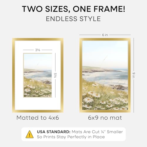 6x9 Gold Picture Frame