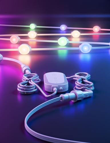 Permanent Outdoor Lights Pro 100ft (100 Foot)